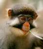 nada la conasse la guenon ighzou c MOI